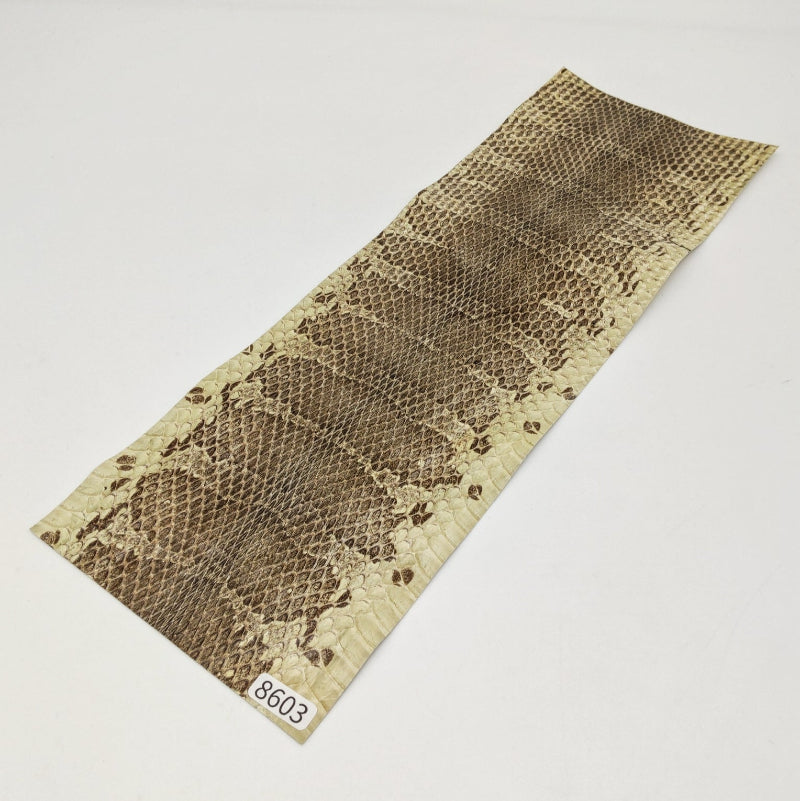ヘビ革/ウォータースネーク【33×11cm/0.2mm】ナチュラル/ツヤ強/Sランク/h8603