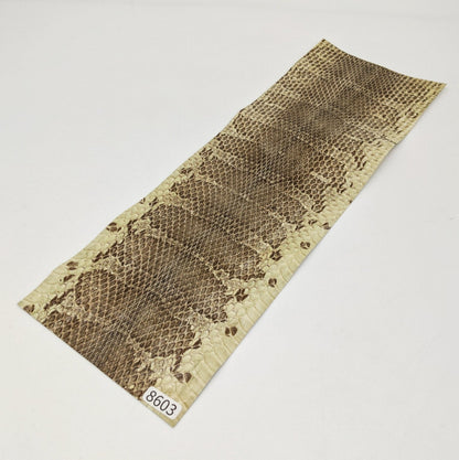ヘビ革/ウォータースネーク【33×11cm/0.2mm】ナチュラル/ツヤ強/Sランク/h8603
