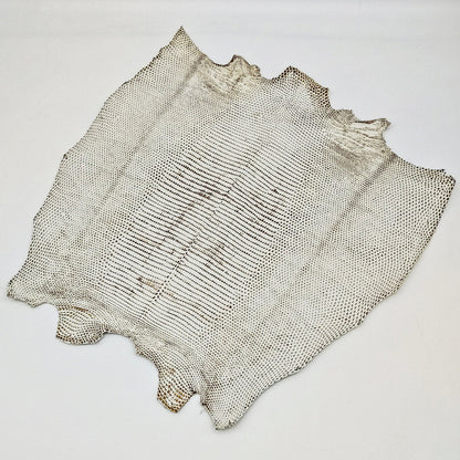 リザード黒桟革【最大幅32cm】白×生漆/ツヤ中/背割/8608hk