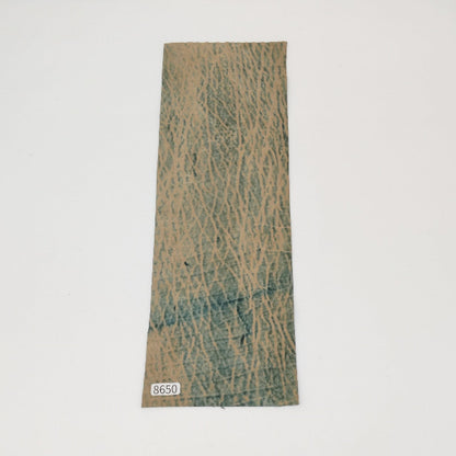 サメ革【31×10.5cm/0.8mm】ブラック/ツヤ弱/Sランク/s8650