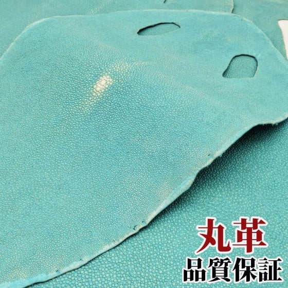 Stingray エイ の 皮 その他 11 S エイ革 鮫革 鮫皮 stingray