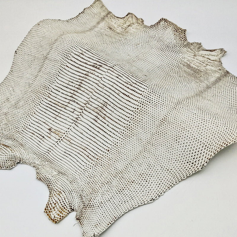 リザード黒桟革【最大幅32cm】白×生漆/ツヤ中/背割/8608hk