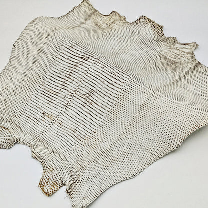 リザード黒桟革【最大幅32cm】白×生漆/ツヤ中/背割/8608hk