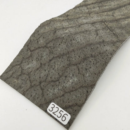 ゾウ革【8×21cm/2.3mm】モスグレー/マット/Aランク/z3256