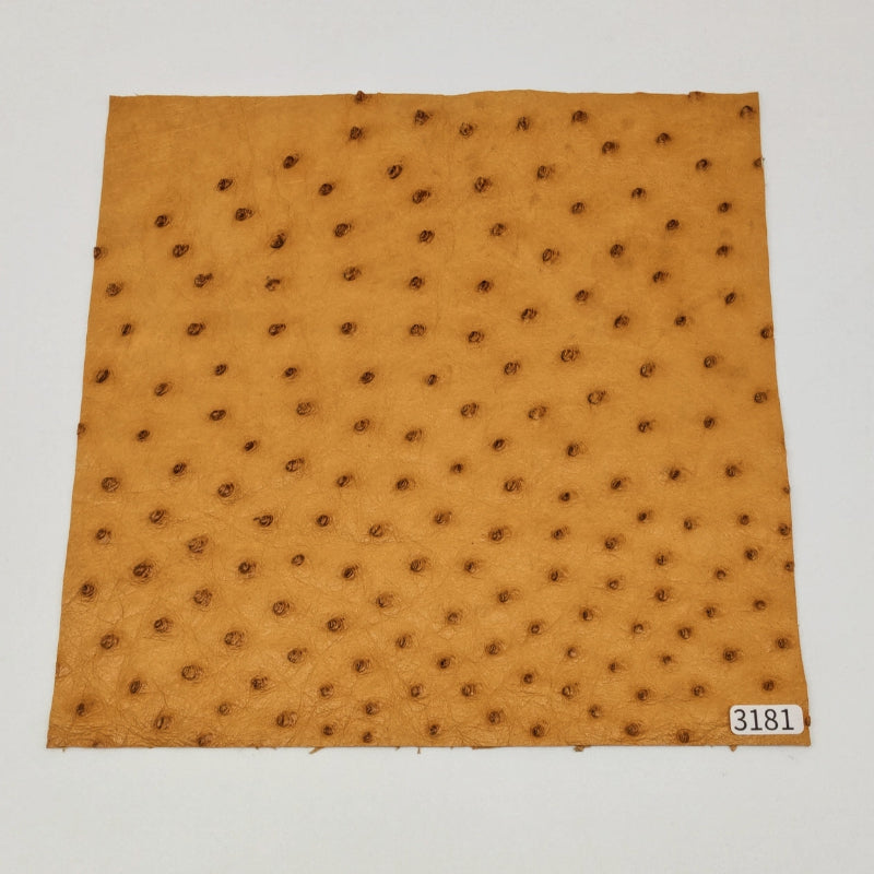 オーストリッチ革【21×21cm/0.6mm】マリーゴールド/特Sランク/d3181