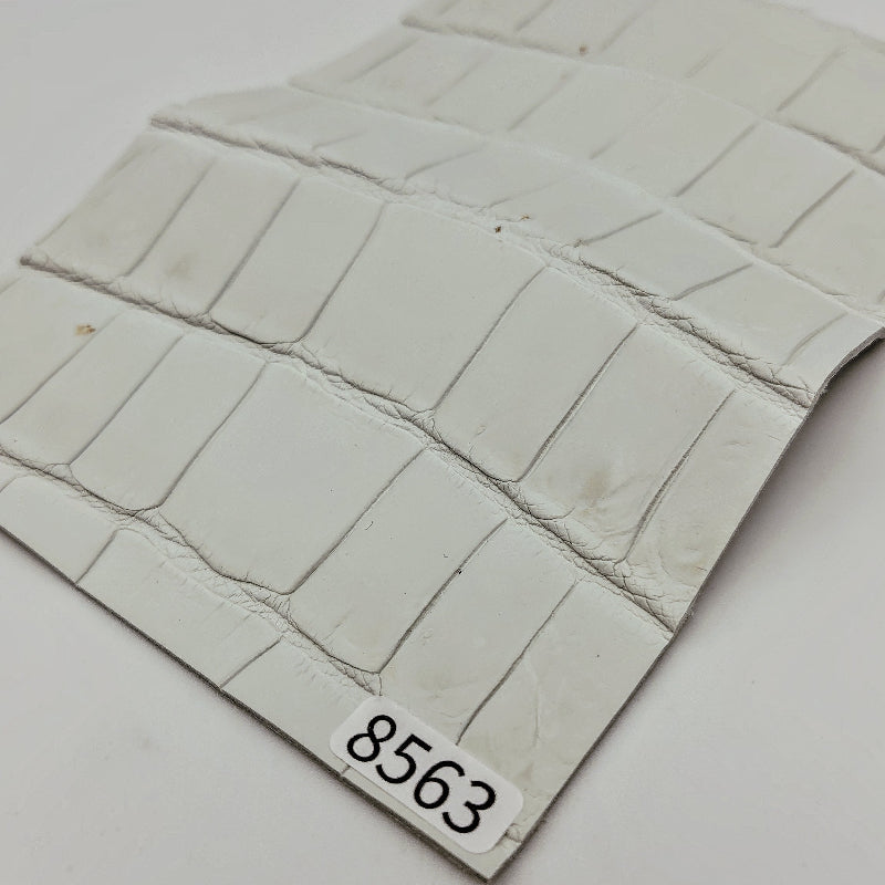 ワニ革/ナイルクロコ【ハガキ/1.5mm】染色用下地革/ハギレ付/Aランク/w8563