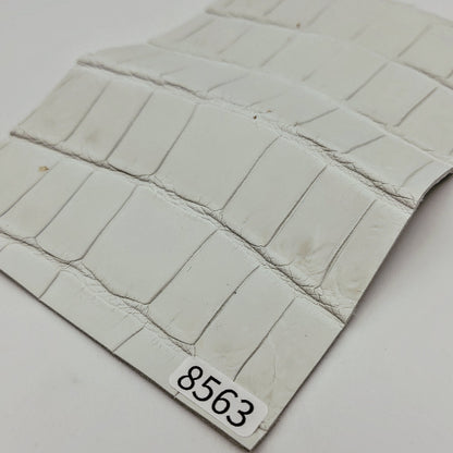 ワニ革/ナイルクロコ【ハガキ/1.5mm】染色用下地革/ハギレ付/Aランク/w8563