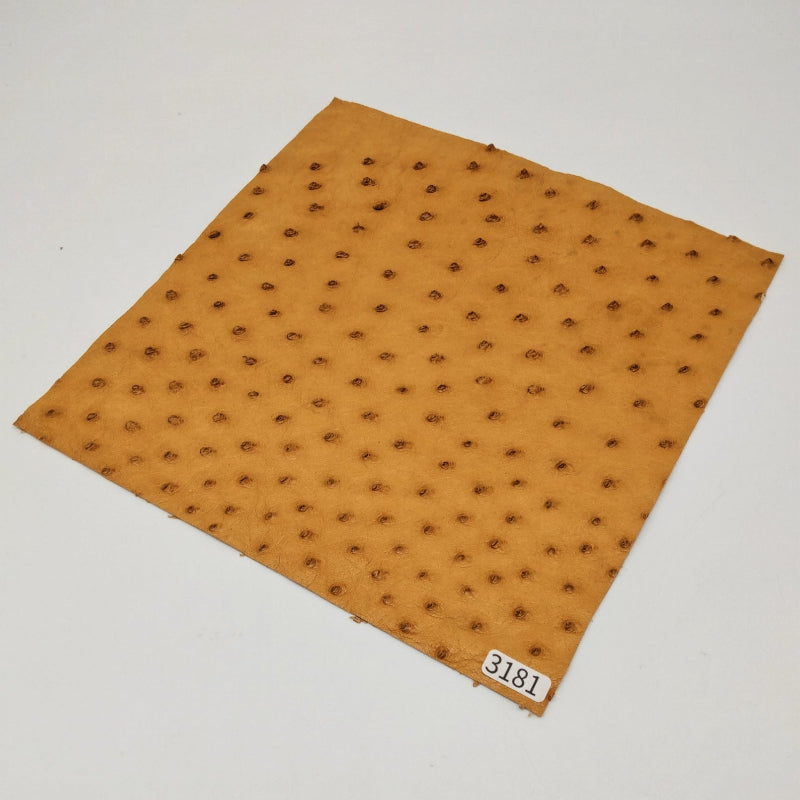 オーストリッチ革【21×21cm/0.6mm】マリーゴールド/特Sランク/d3181
