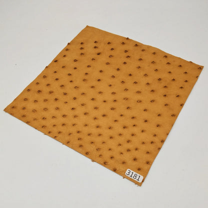 オーストリッチ革【21×21cm/0.6mm】マリーゴールド/特Sランク/d3181