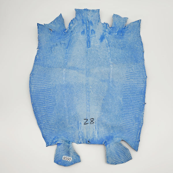 トカゲ革【最大幅28cm】ブルー/ツヤ強/腹割/8590