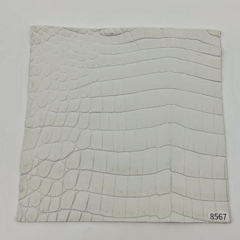 ワニ革/ナイルクロコ【21×21cm/1.5mm】染色用下地革/ハギレ付/Sランク/w8567