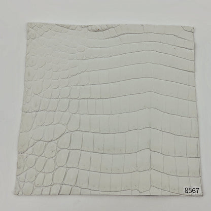 ワニ革/ナイルクロコ【21×21cm/1.5mm】染色用下地革/ハギレ付/Sランク/w8567