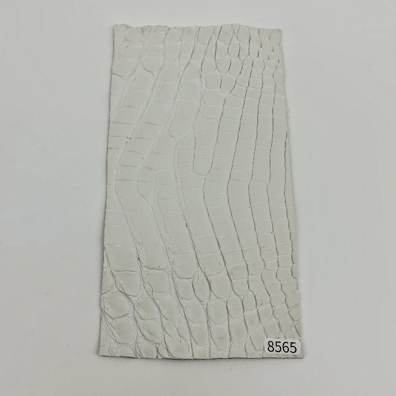 ワニ革/ナイルクロコ【11×21cm/1.5mm】染色用下地革/ハギレ付/Sランク/w8565