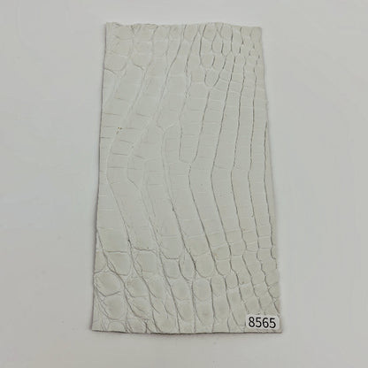 ワニ革/ナイルクロコ【11×21cm/1.5mm】染色用下地革/ハギレ付/Sランク/w8565