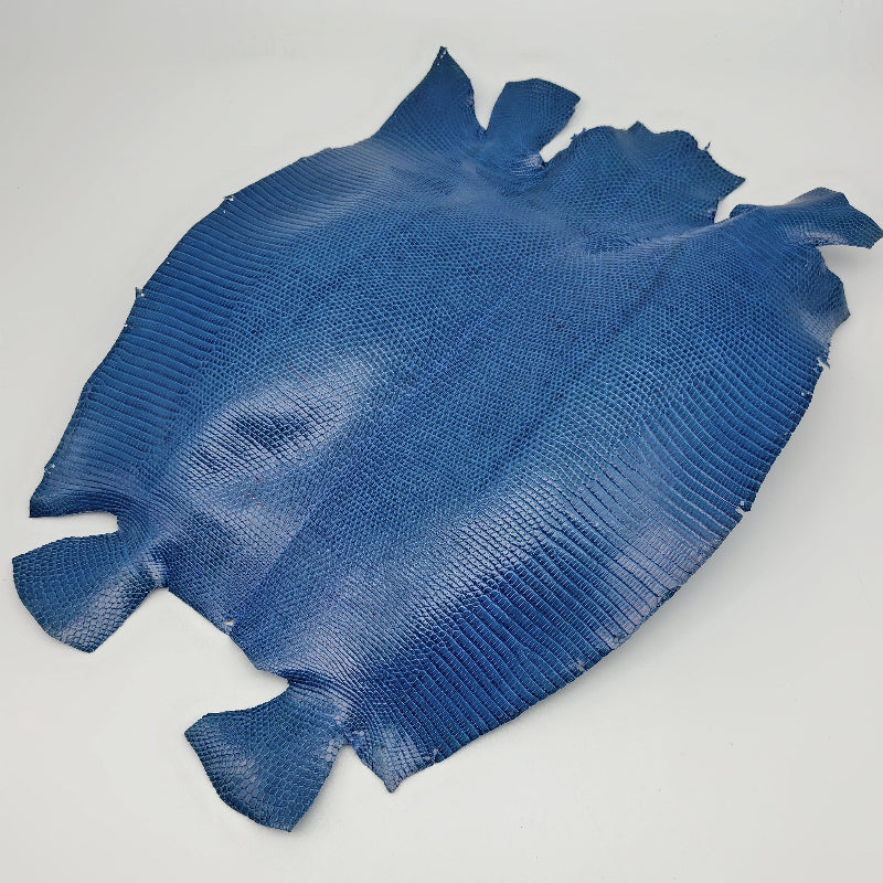 トカゲ革【最大幅28cm】ブルー/ツヤ強/腹割/8590