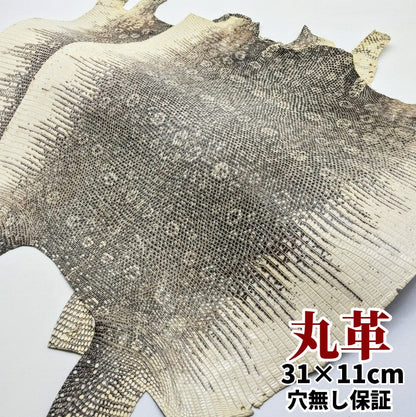 トカゲ革【最大幅32cm前後】白×黒ナチュラル/ツヤ強/腹割/t205