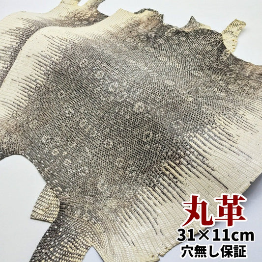 トカゲ革【最大幅32cm前後】白×黒ナチュラル/ツヤ強/腹割/t205