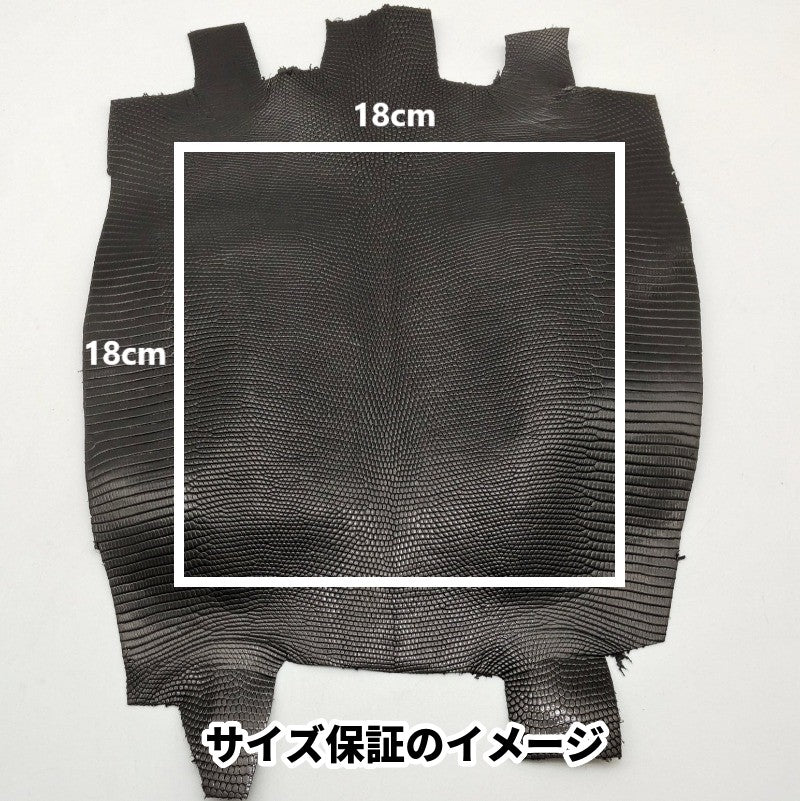 トカゲ革【最大幅22cm前後】グレー/ツヤ強/腹割/t609