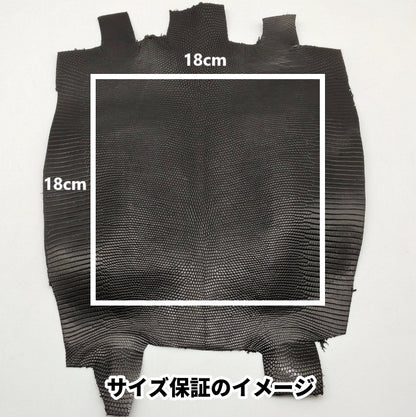 トカゲ革【最大幅22cm前後】グレー/ツヤ強/腹割/t609