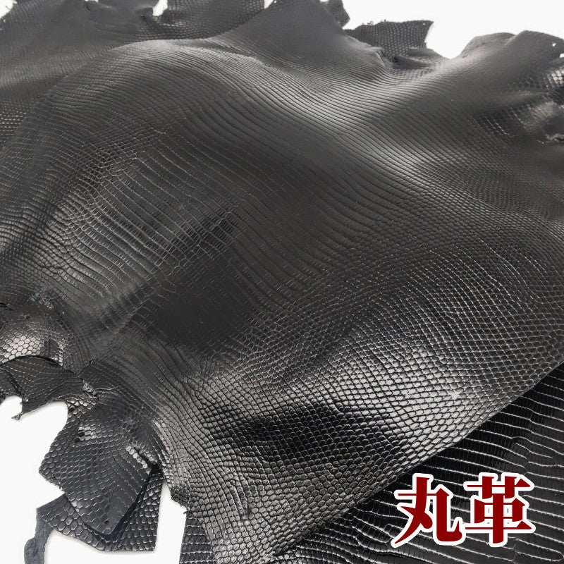 蜥蜴　革素材