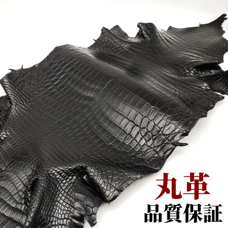 鰐　上級