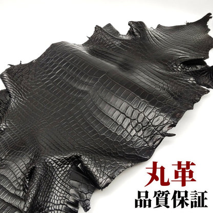 鰐　上級