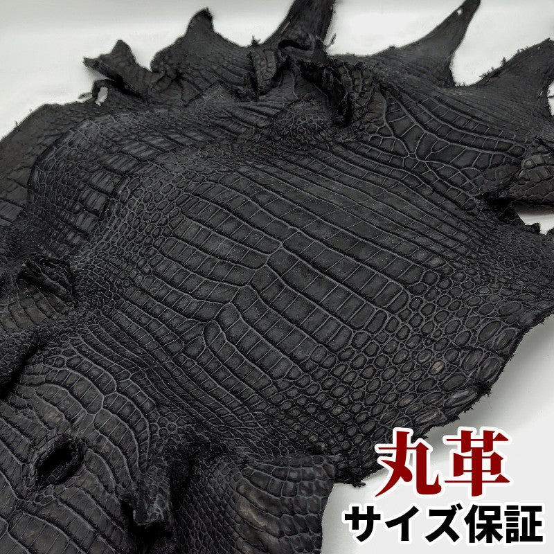 鰐　革素材