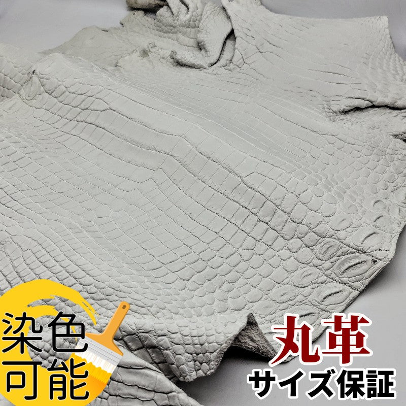 鰐　革素材
