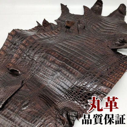 鰐　革素材