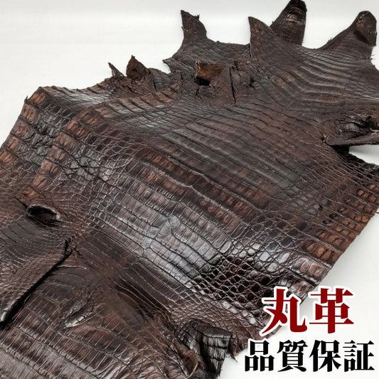 鰐　革素材