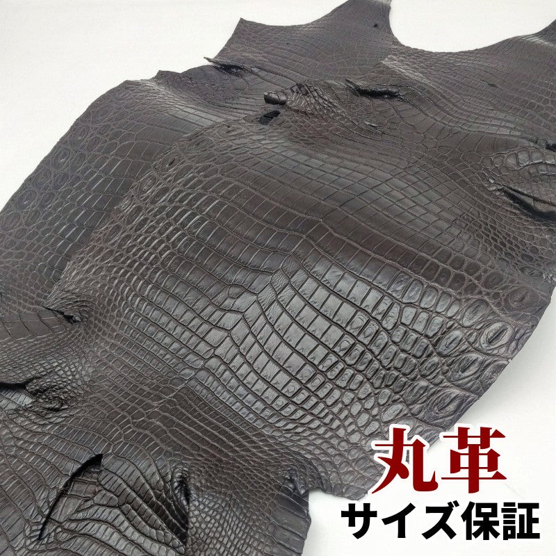 鰐　革素材