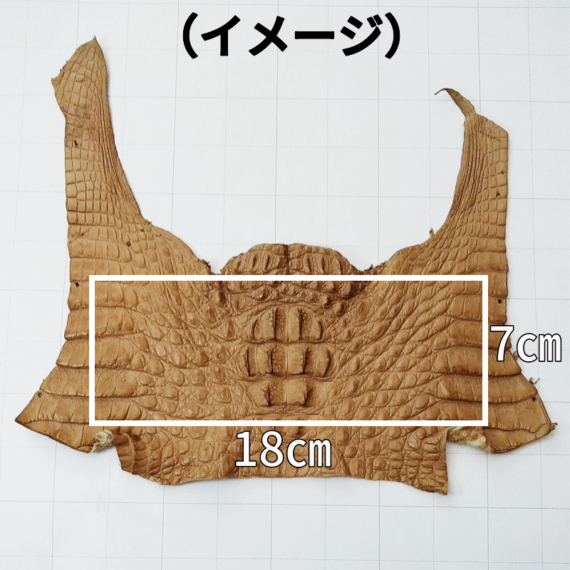 ワニ革/カイマン【切革/頭部分】カラフル全9色 / 8827 – レザーマニア ワニ革/カイマン【切革/頭部分】カラフル全9色 / 8827 – レザーマニア