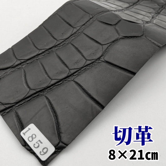鰐革　素材