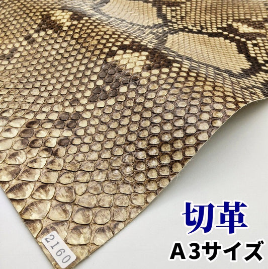 蛇革　素材