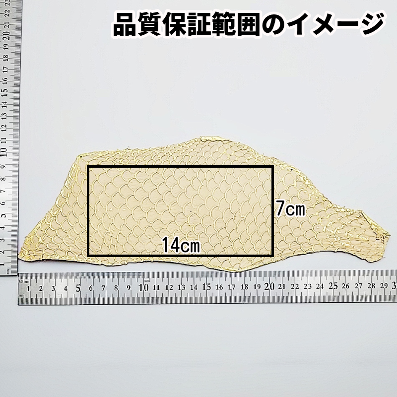 フィッシュ革（fish leather）の皮革素材を通信販売 – レザーマニア