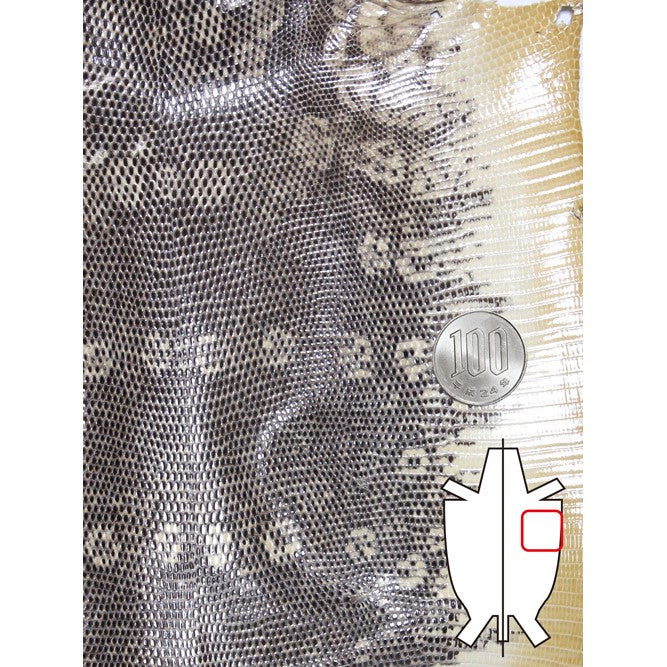トカゲ革リングマーク【最大幅約20cm】飴色×黒/つや有/Aランク/腹割 
