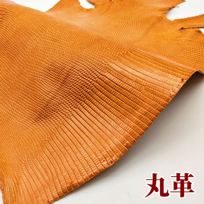 蜥蜴　革素材