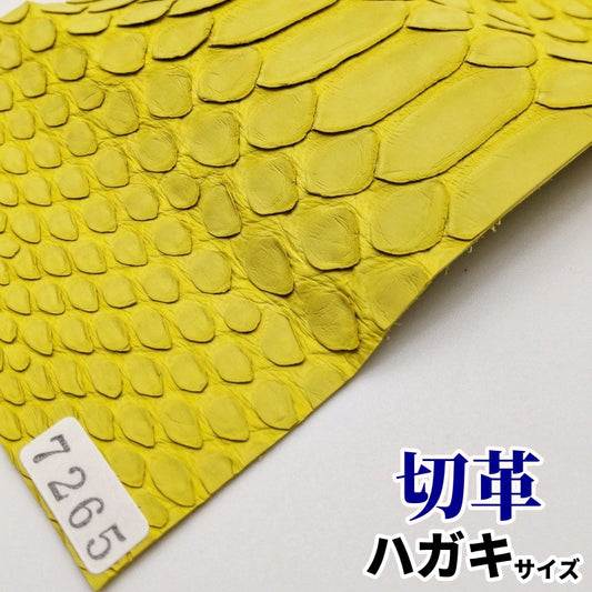 蛇革　素材