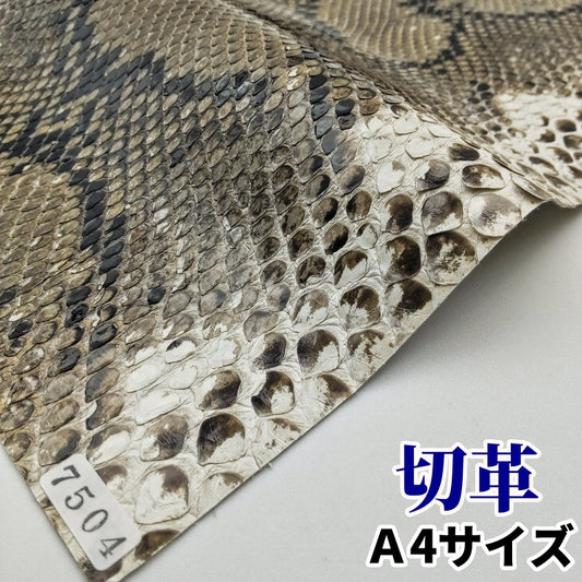 蛇革　そのまま