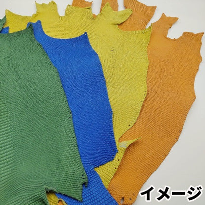 【福袋】トカゲ大きめ丸革4枚/ブライトカラー/マット/送料無料/fb33t