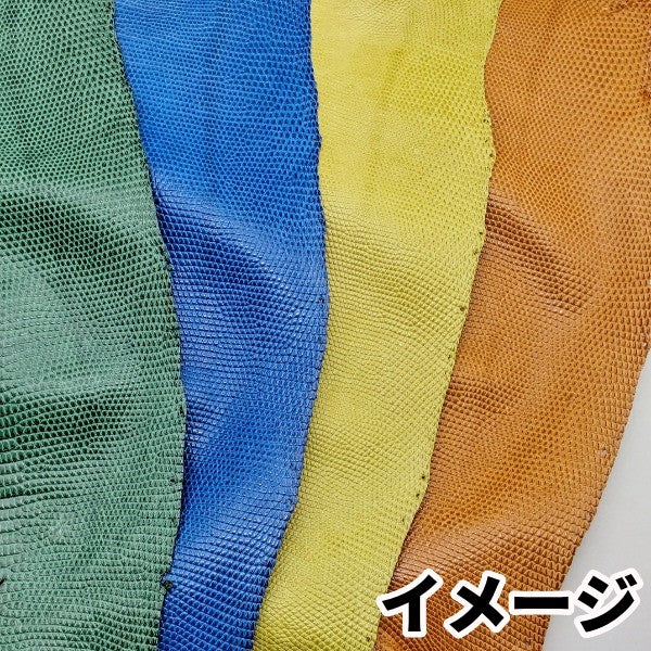 【福袋】トカゲ大きめ丸革4枚/ブライトカラー/ツヤ強/送料無料/fb34t
