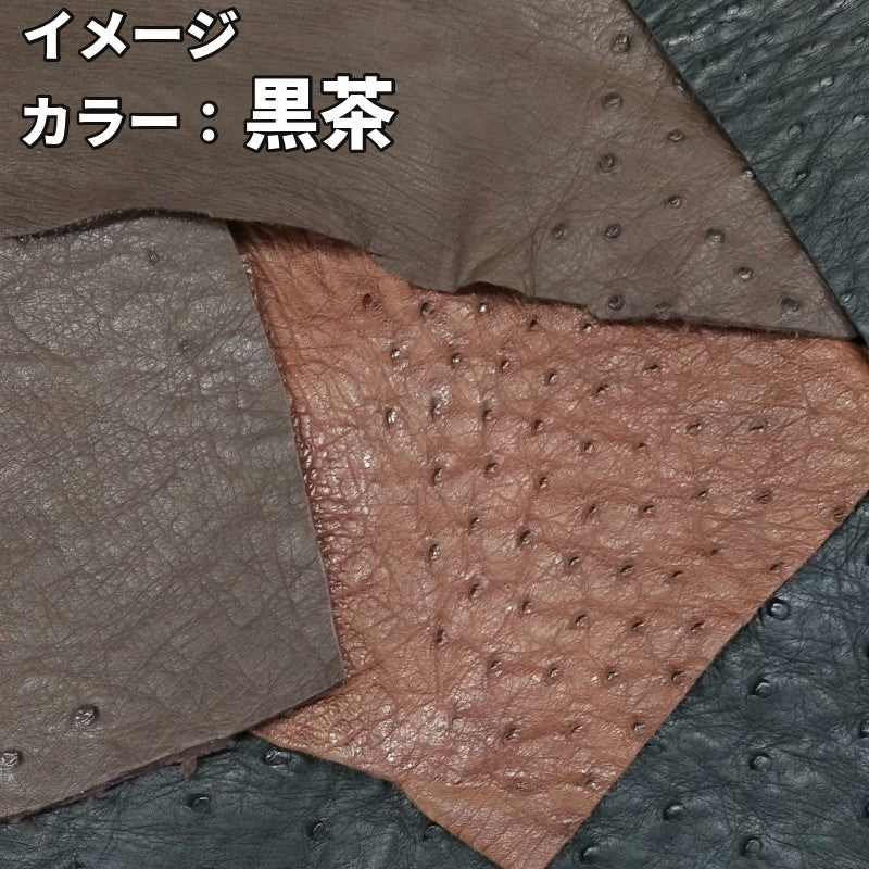 駝鳥革　落ち着いた色