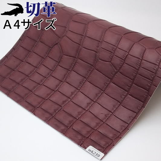 鰐革　特徴