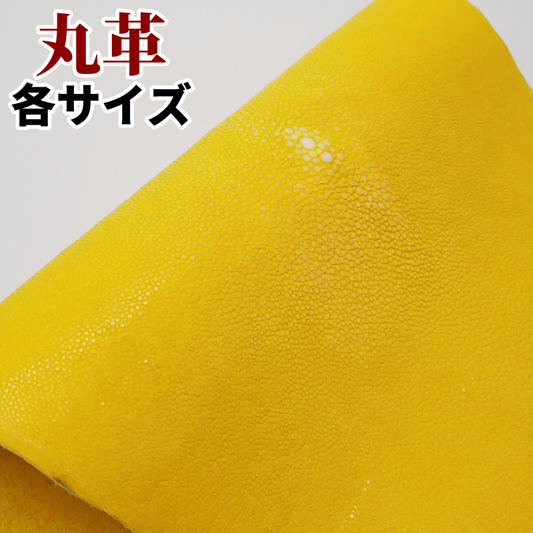 レザークラフト材料のエイ革、スティングレイ革を通販と実店舗で販売