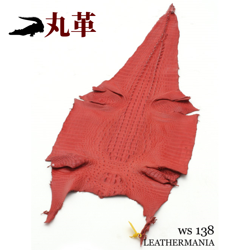 ★早い者勝ち★ 赤 クロコダイル風 ワニ革/クロコダイル【一匹/規格幅38cm】レッド/マット/腹割/ws138