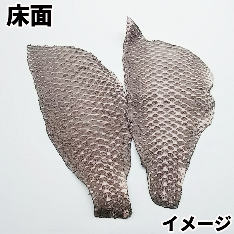 fish leather　特徴