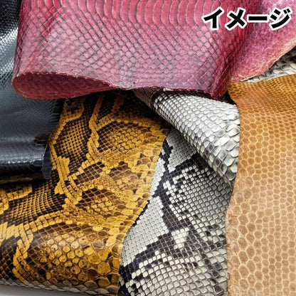 【福袋】水辺に棲むヘビ革5種類/送料無料/fb23h