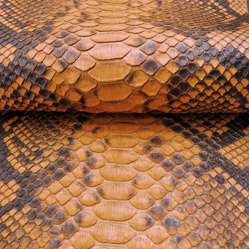 蛇革　カラフル