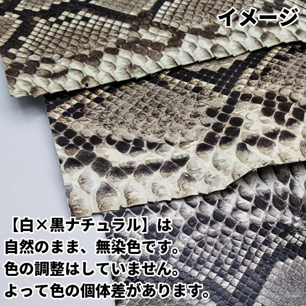 蛇革　特徴