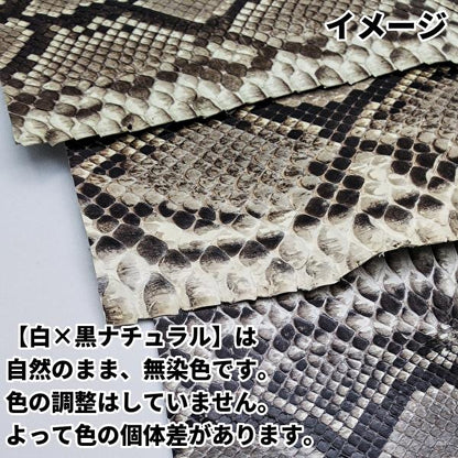 蛇革　特徴